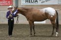 HE-Halter_124