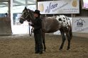 HE-Halter_125