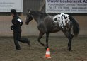 HE-Halter_127