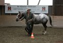 HE-Halter_130