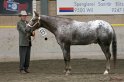 HE-Halter_133