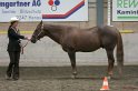 HE-Halter_134