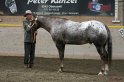 HE-Halter_135