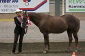 HE-Halter_138
