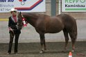 HE-Halter_139