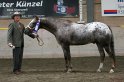 HE-Halter_140