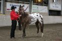 HE-Halter_141