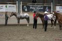 HE-Halter_142