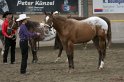 HE-Halter_143