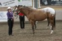 HE-Halter_144