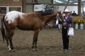 HE-Halter_146