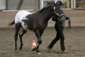 HE-Halter_149