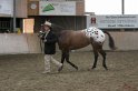 HE-Halter_151