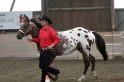 HE-Halter_154