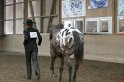 HE-Halter_155