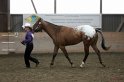 HE-Halter_158