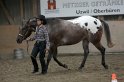 HE-Halter_163