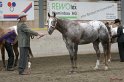 HE-Halter_164