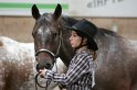 HE-Halter_170