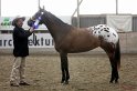HE-Halter_179
