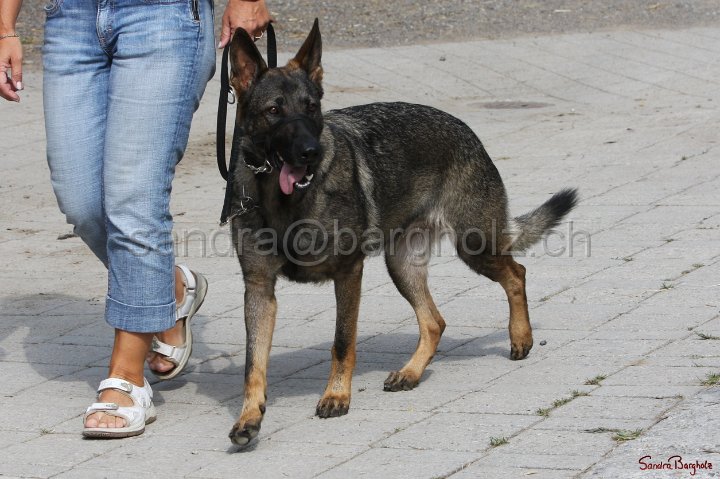 HE-Outside_013.jpg