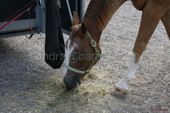HE-Outside_056.jpg
