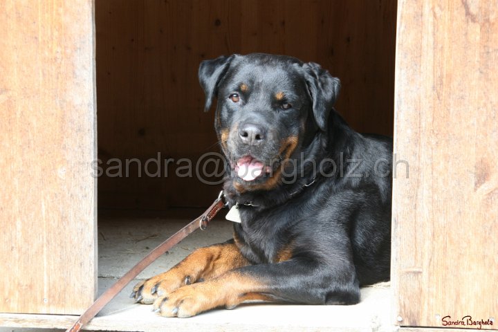 HE-Outside_058.jpg
