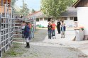 HE-Outside_012