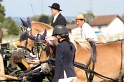 RV_181