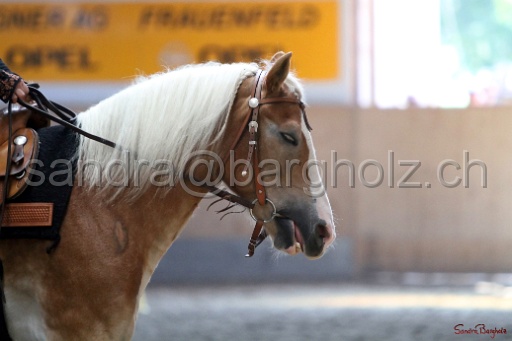 HS_044.jpg