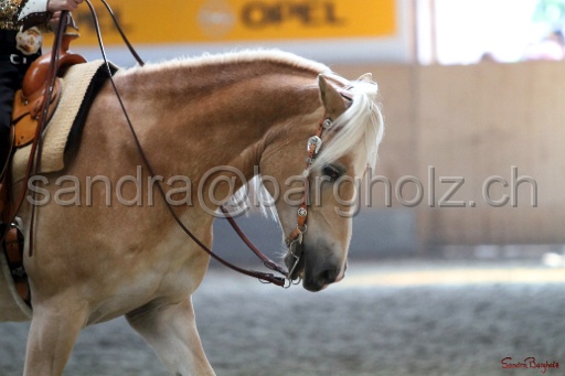 HS_094.jpg