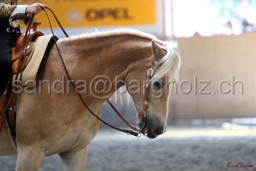 HS_095.jpg