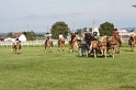 OS_080