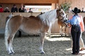 SMS_071
