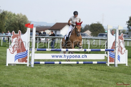 SP_046.jpg