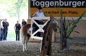 Trail_231