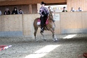 Trail_238