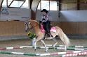 Trail_247
