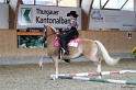 Trail_249