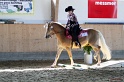 Trail_267