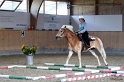 Trail_291