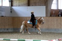 Trail_331