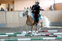 Trail_336