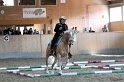 Trail_337