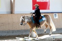 Trail_347