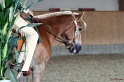 Trail_356