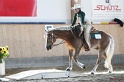 Trail_387