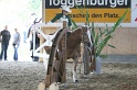 Trail_391