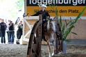 Trail_426