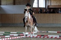 Trail_436